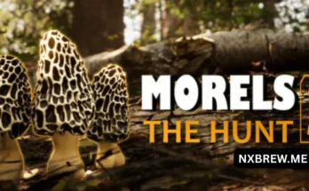 Morels The Hunt 2