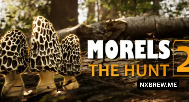 Morels The Hunt 2