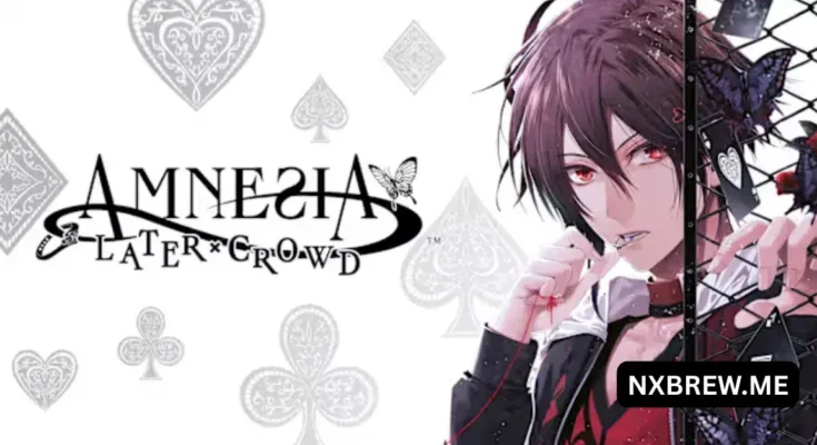 Amnesia Later x Crowd