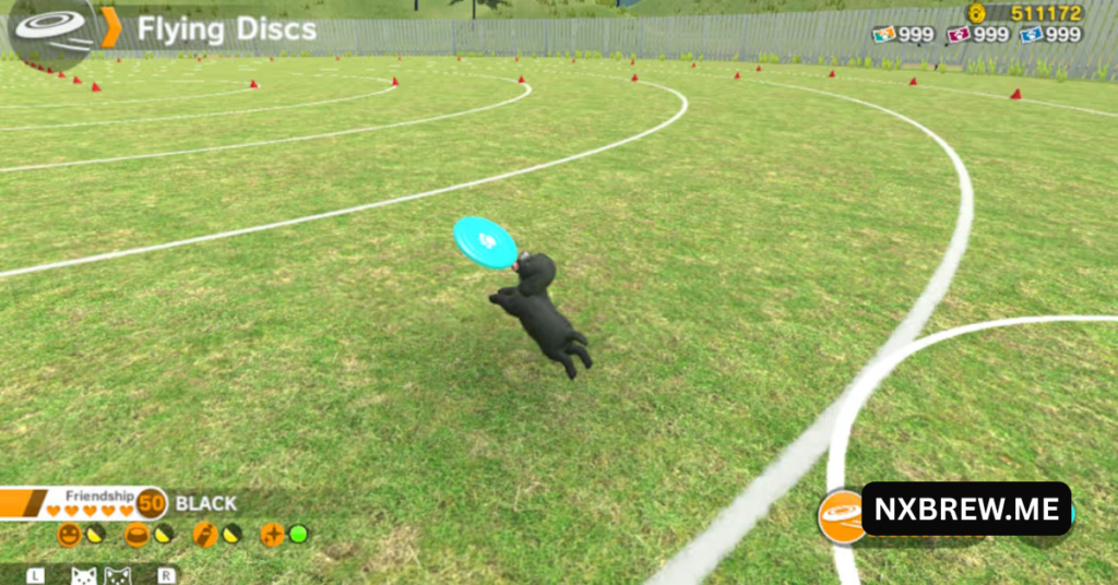 Little Friends Dogs & Cats