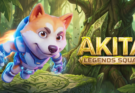 Akita Legends Squad
