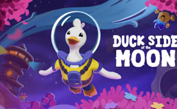 Duck Side of the Moon