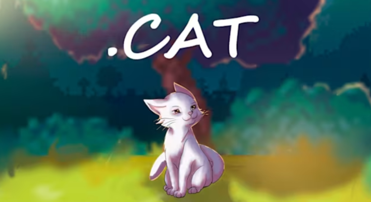 .cat
