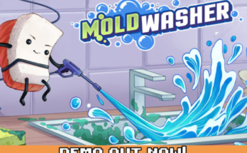 Moldwasher
