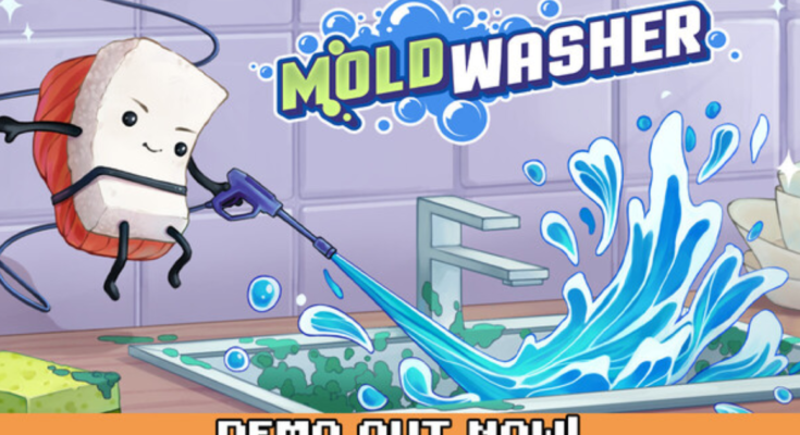 Moldwasher