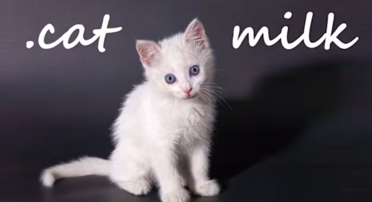 .cat Milk